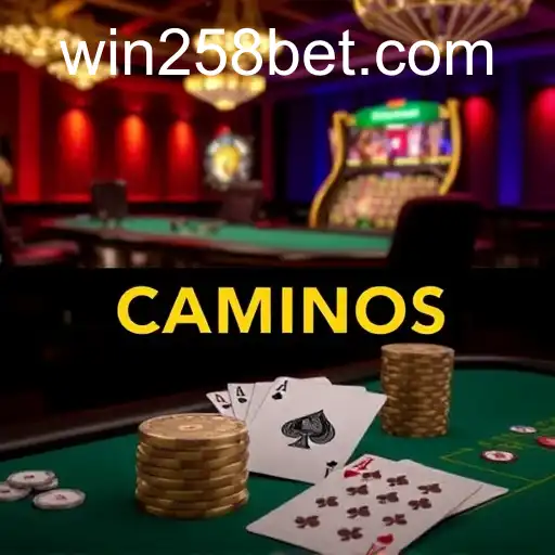 Casino Games: Unveiling the Excitement and Variety